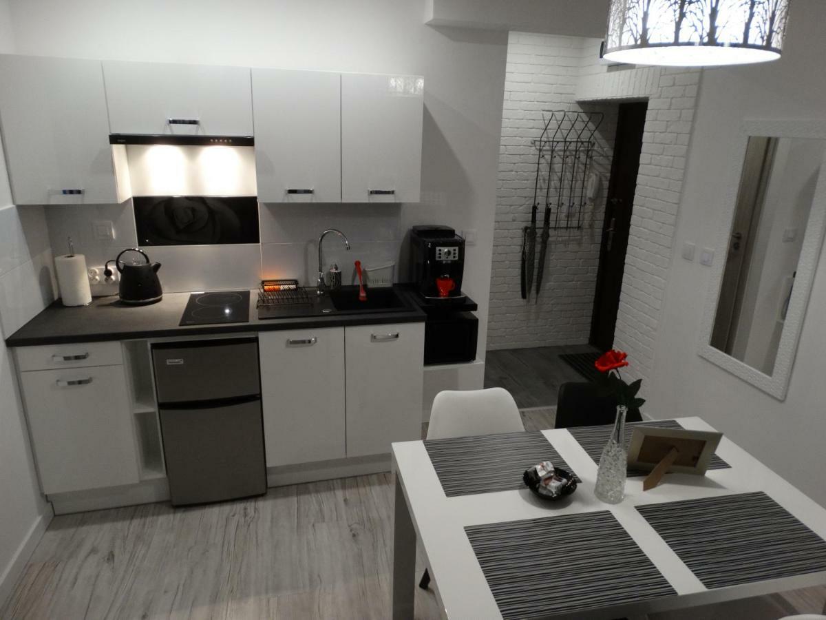 Apartament "Eli" Stary Toruń Extérieur photo