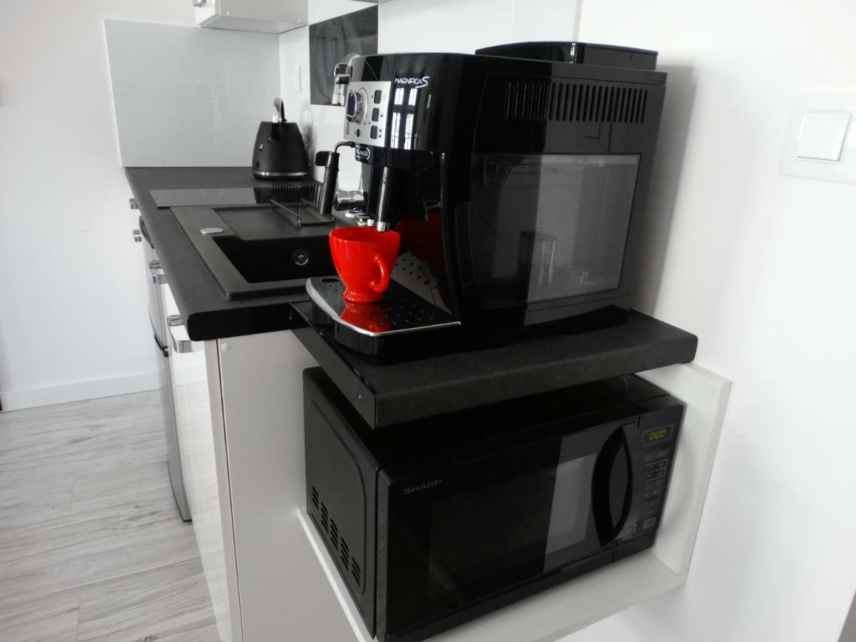 Apartament "Eli" Stary Toruń Extérieur photo